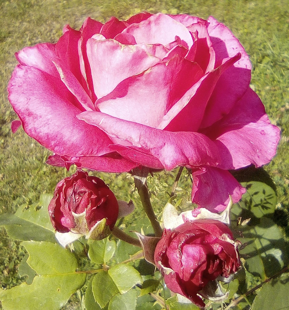 Автор фото Максим Вишневский Стихи Поэта