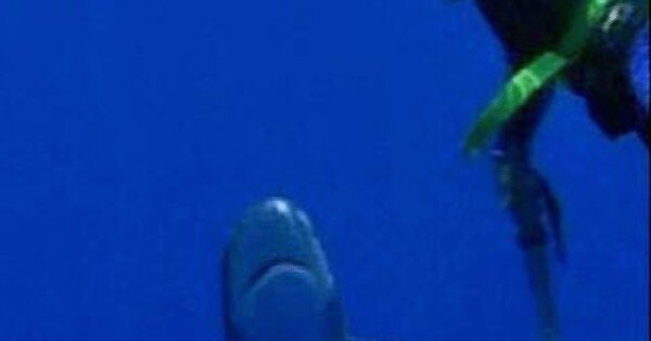 Источник фотографии: yandex.ru