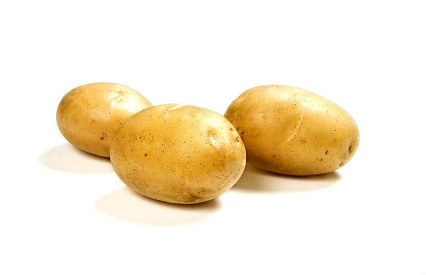 Сорт картофеля ариэль фото. Картофель семенной Ариэль. Картофель ранний Ариель. Лазурит для картофеля. Сорт картофеля лазурит.