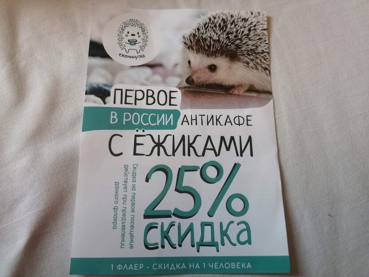 Ежеминутка казань. Антикафе с ежиками. Антикафе с ежами в Москве. Кафе с ежиками в Москве. Кафе с ежиками Казань.