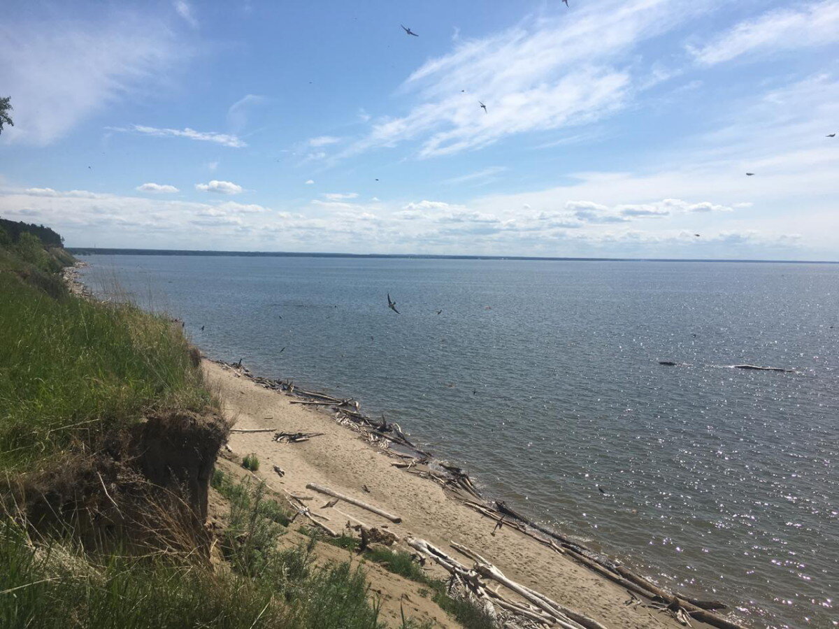 Море в бердске
