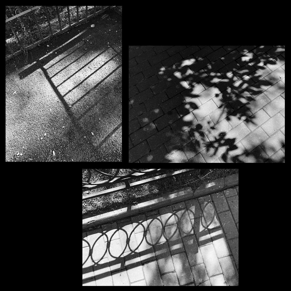  Анна Просекова. Россия, Москва