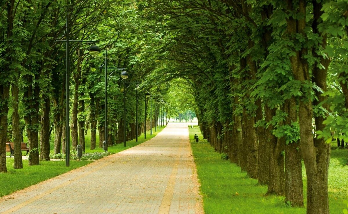 Краснодарский дендрарий