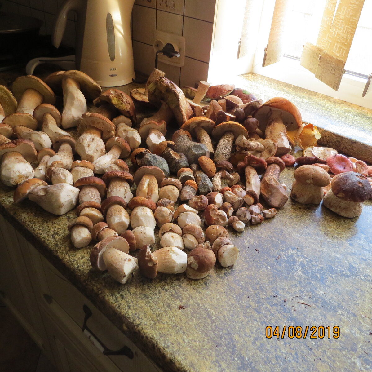 сегодняшний урожай 