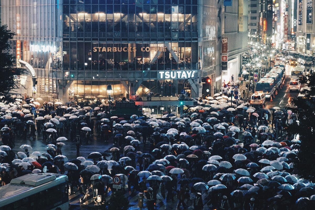 источник  Finan Akbar
@finan https://unsplash.com/photos/6-vYiFMYcII