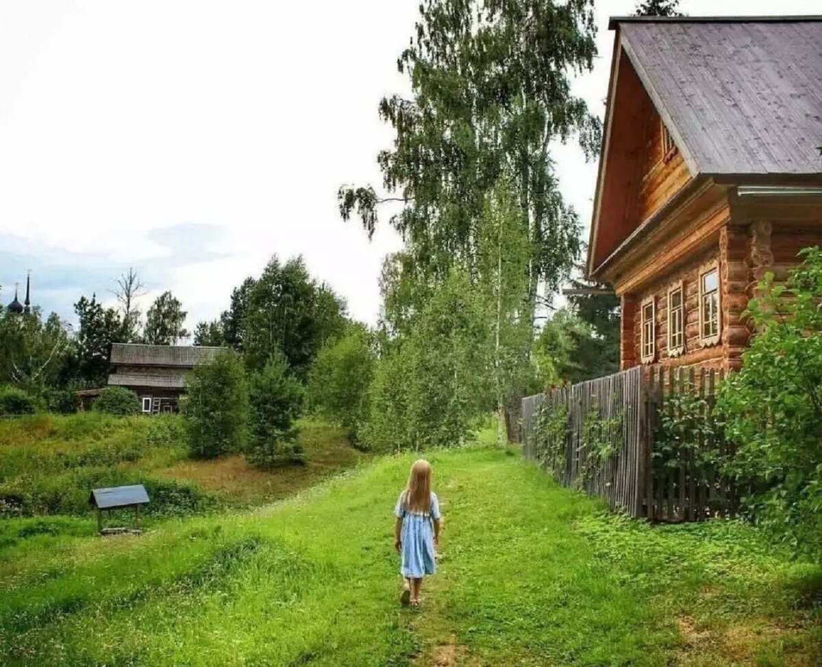 Какие деревья лучше всего сажать возле дома согласно народным приметам. |  На Даче с Любовью. | Дзен