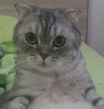 Фото из личного архива