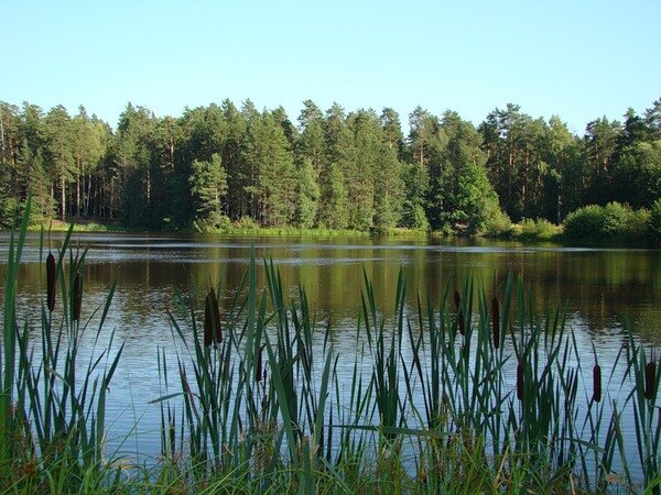 Это лето было для меня необыкновенным, хотя все было как всегда. Но почему, когда я сейчас приехал в город, не то что тоской, а какой-то щемящей грустью жжет в груди. Спится плохо: картины уходящего лета, одна за другой, калейдоскопом мелькают во сне. Просыпаешься: мокрая подушка, смятая простыня, одеяло на полу, одуревшая башка, лицо в зеркале просит кирпича и не отдохнувшее тяжелое тело говорят о беспокойной смутной ночи. Я понял, почему это лето не уходит от меня. Я и мои друзья, которых я знаю с детства, повзрослели, стали другие. Другие отношения, другие чувства, более глубокие что ли, крепкая пацанская дружба и выручка стала еще крепче, любовь к девчонкам стала еще горячее. Стало интересней, хотя тот же футбол, те же вечера, то же веселье и приколы. Грустно, тоскливо – хочу опять туда. Не в деревню, сюда я могу приезжать хоть каждую неделю, а в то ушедшее лето.
Три вещи будут напоминать мне об уходящем лете:
Запах скошенной травы
Жар ночного костра
Колдовской шум камышей.
Здесь я встретил подругу, хорошую, верную, понимающую, добрую. Ранее я её не замечал.
Даже я, Андрюха Бессонов, сраный поэт-менестрель, который писал экспромтом иронические стишки, написал первое «серьезное» стихотворение, в котором выразил щемящую боль моей души. Я ей дал название «Песня», и примерная мелодия есть.

Ветер муть озерную 
к берегу несет.
А за озером иволга поет.
Иволга, молчи, перестань кричать.
Дай, я расскажу про свою печаль.

Есть за озером, за болотами
Заговор-трава приворотная.
Заговором тем все устроится,
Сердце бедное успокоится.

Тихая вода. Не шумит камыш.
Что же ты опять допоздна не спишь?
Пустота в глазах, речь несмелая,
И твоя любовь неумелая.

Мне той иволги глупых песен жаль.
Некому сказать про свою печаль.
Заговором тем все устроилось.
Только сердце не успокоилось.