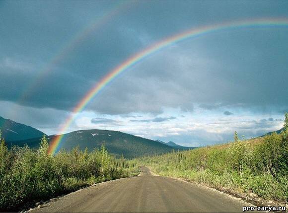 Картинка из сети 