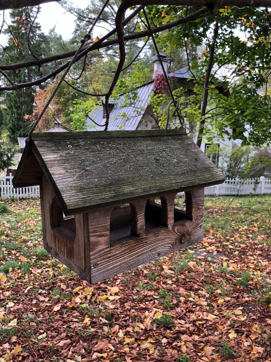 В этой усадьбе думают обо всех и даже о местных птичках 