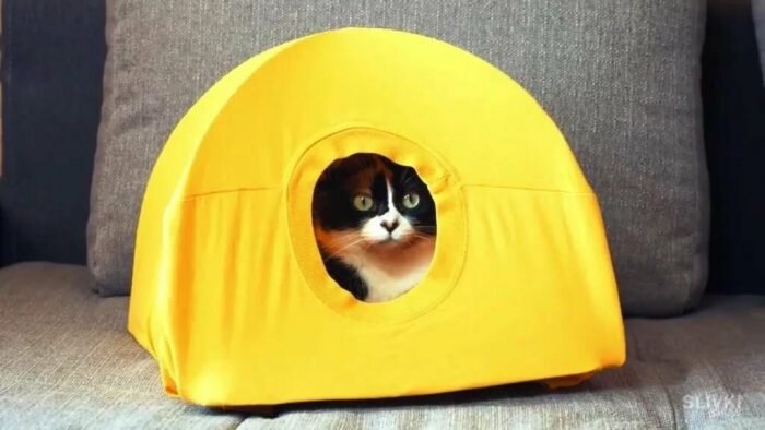 Источник: yandex.ru