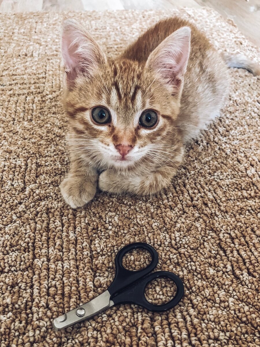 Я эту штуку совсем не боюсь (ну, чуть-чуть)