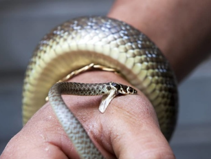 Фото из сети Интернет