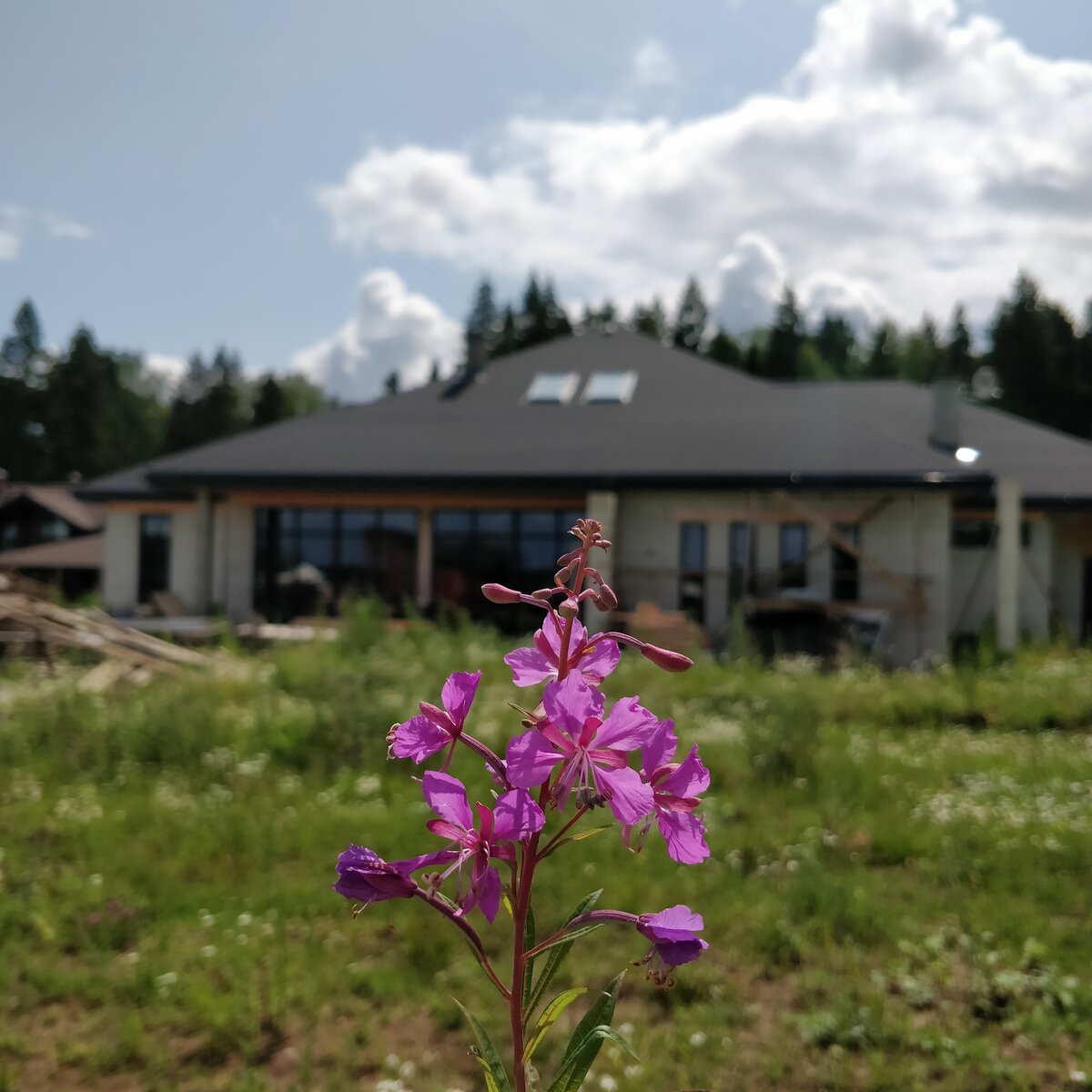 Смогли бы решиться на одноэтажный дом?