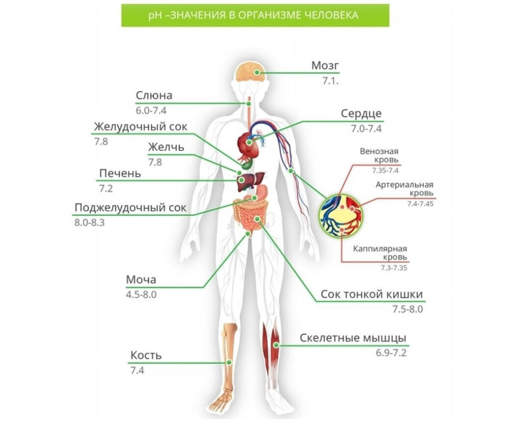 Как определить нарушение кислотно-щелочного баланса | Питание и здоровье |  Дзен
