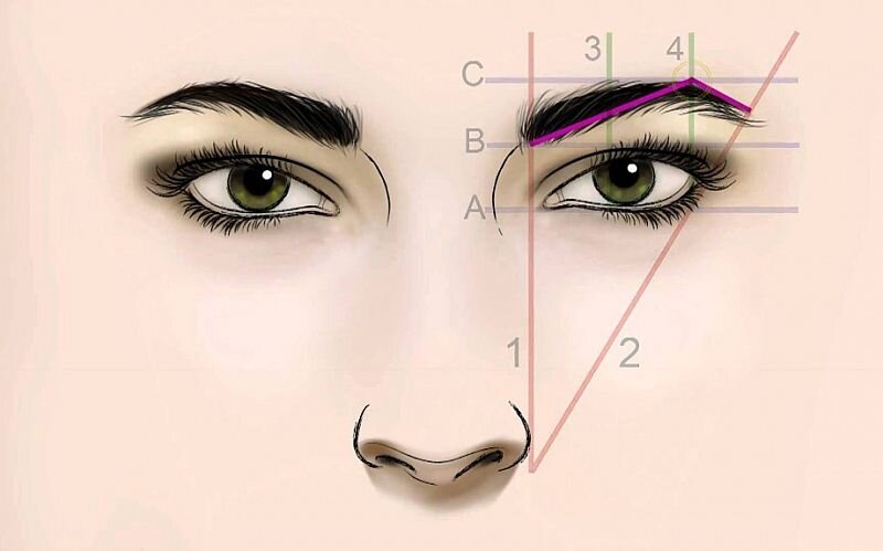 Секрет идеальных бровей или как построить форму бровей