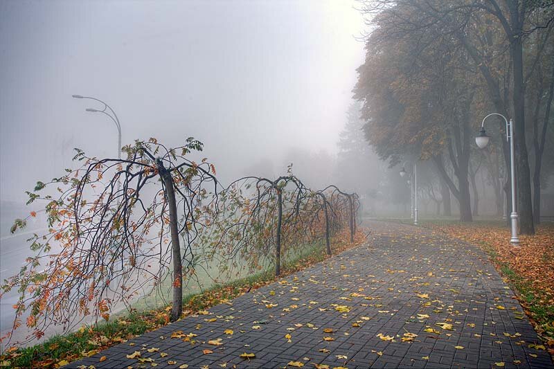 Осенняя промозглость (фото из интернета)