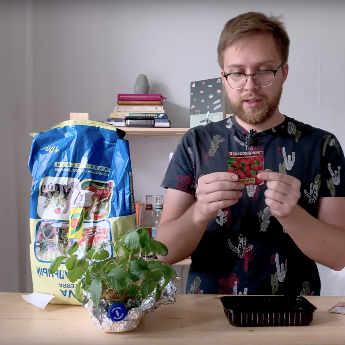 внимательно изучаю упаковку семян земляники