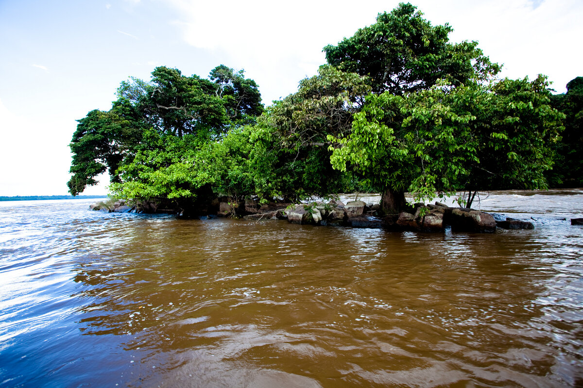 Congo River in Africa - Facts and Info Rhino Africa
