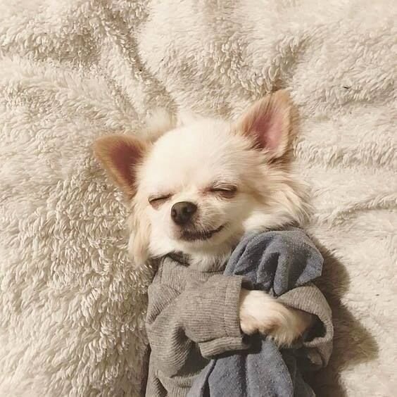 https://www.pinterest.ru/pin/677932550139556548/