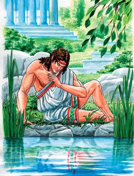 Narcissus