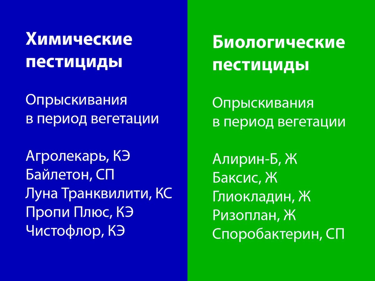 Пестициды от серой гнили
