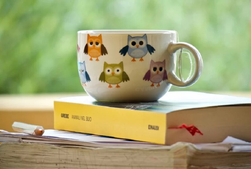 Фото: pixabay.com