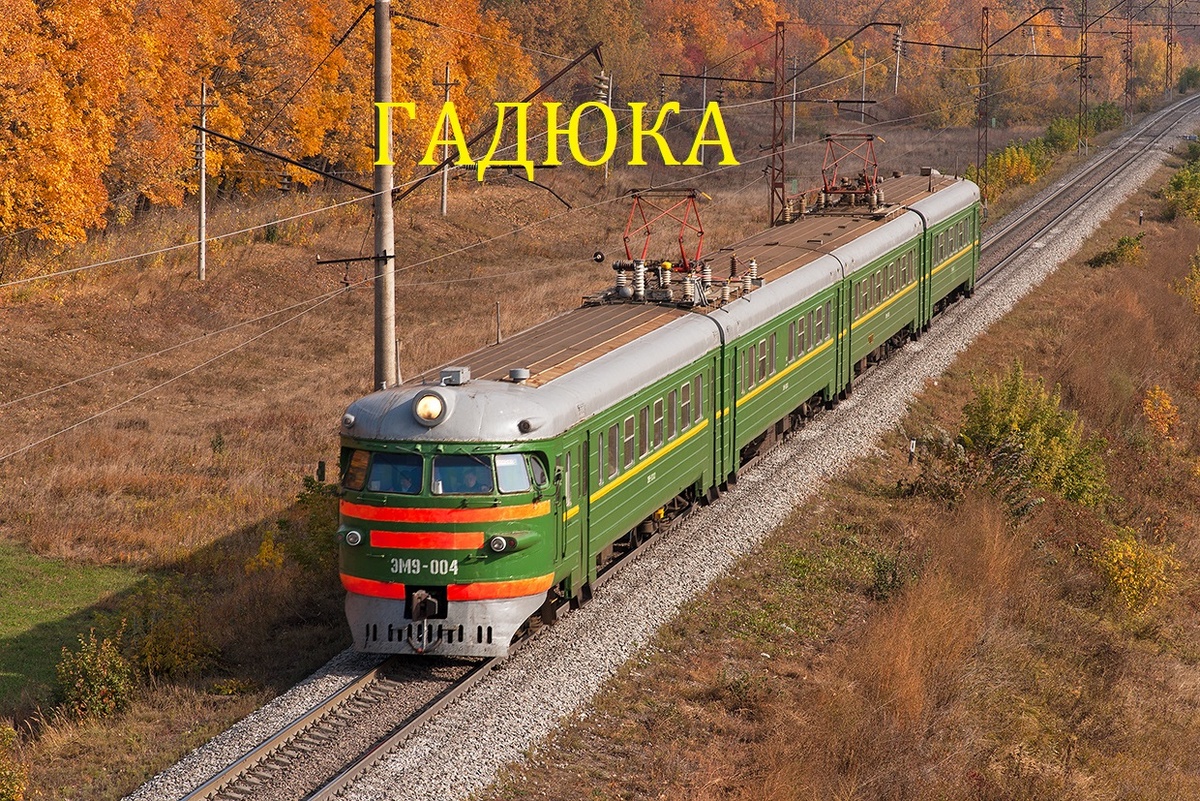 1. Обычная электричка - грязная и вонючая)