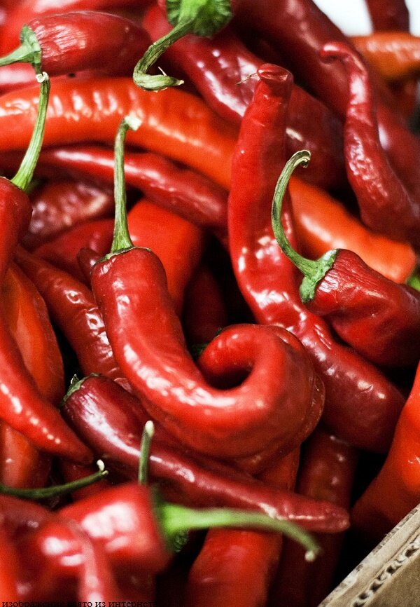 изображение взято из интернета