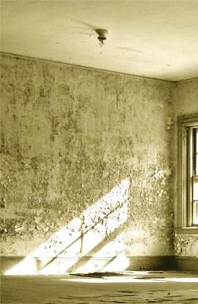 Фото из свободного доступа сети интернет