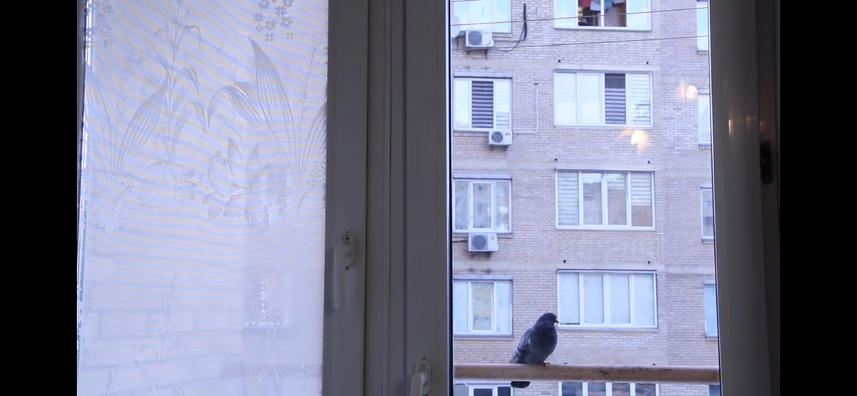 источник youtube.com