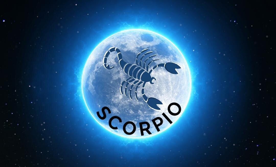 изображение взято из открытых источников