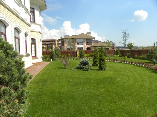 Рулонный газон в ландшафтном дизайне