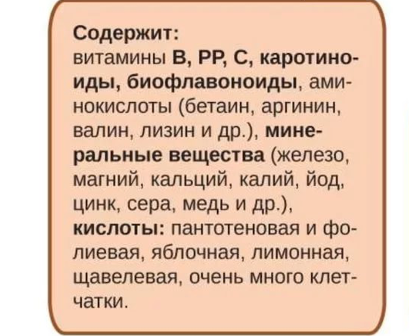 Свекла содержит много витаминов, минералов и аминокислот.