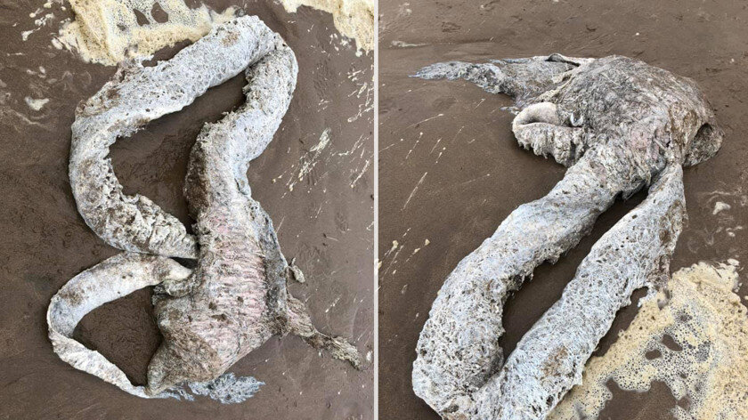 Источник фото https://hi-tech.mail.ru 