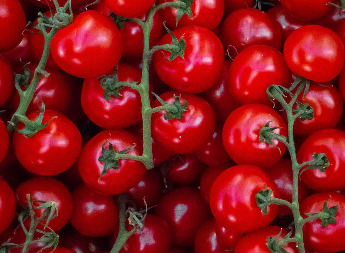 Photo by Kateryna Moskalova