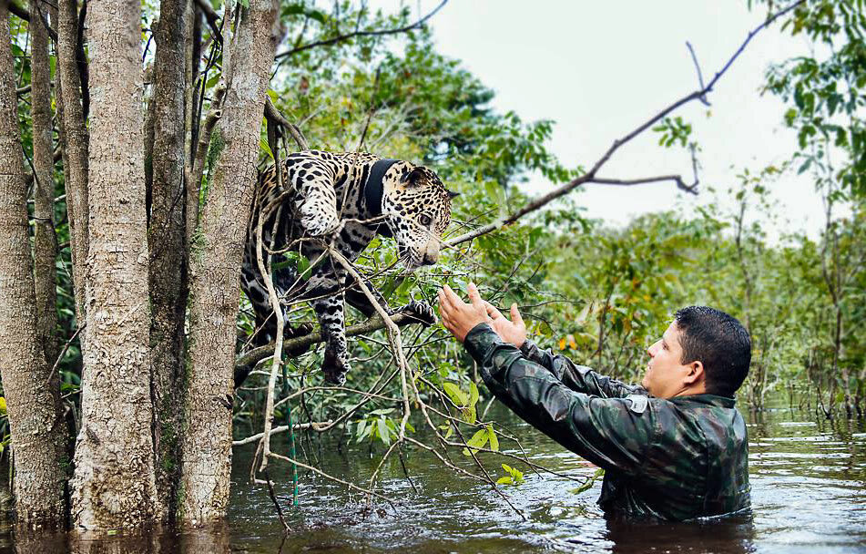 фото из открытых источников