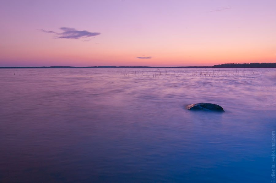 (Фото: Виления Селиванова) 