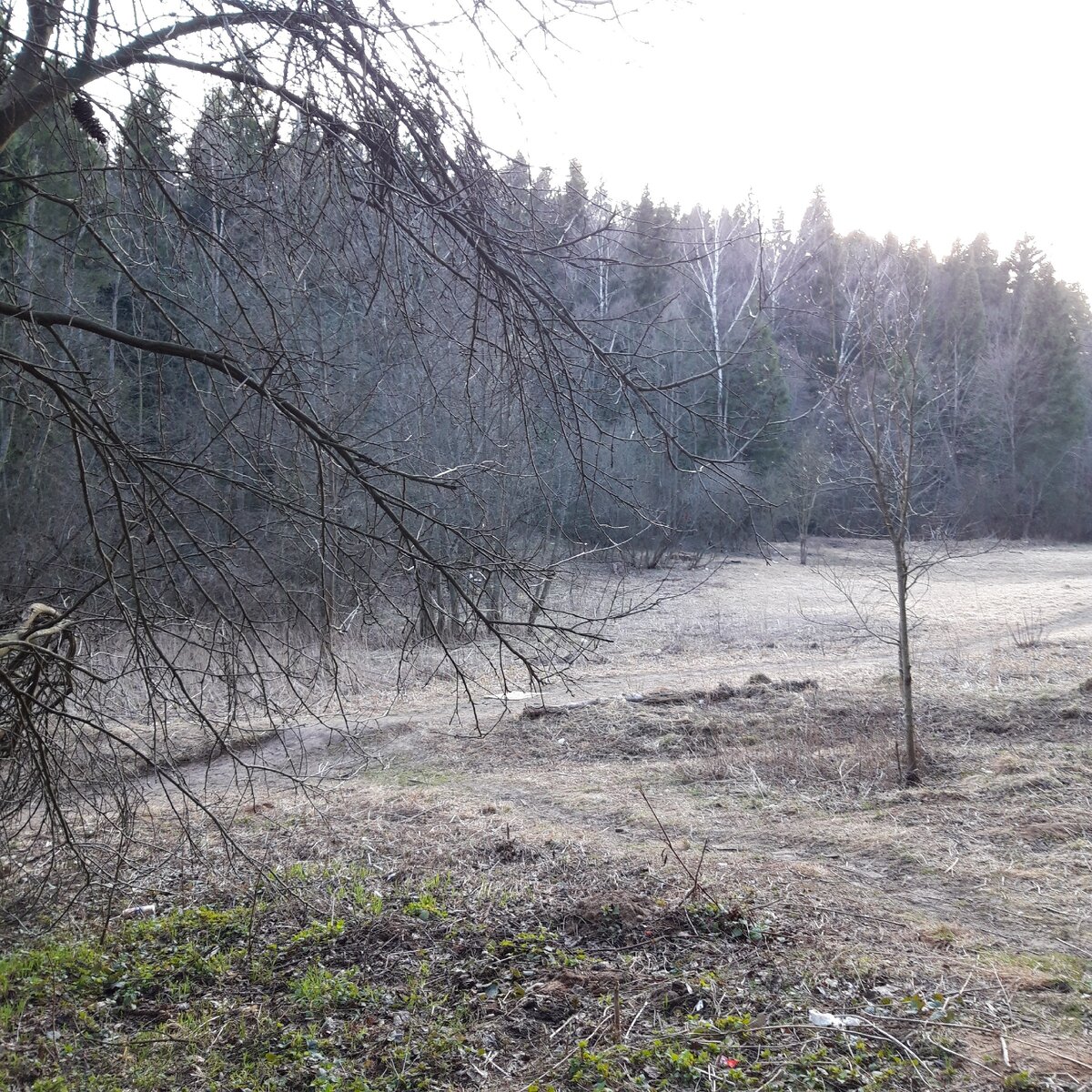 Все наши задачи внутри нас самих