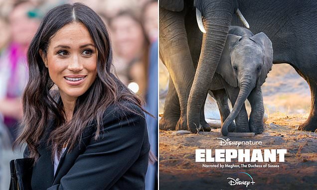 Изображение заимствовано из открытых источников 