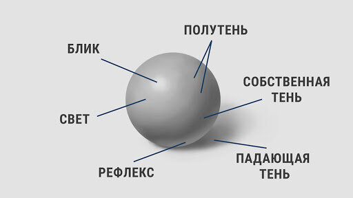 Предмет может быть любым, а освещение разным. Главный закон - освещение зависит от формы. Например, в кубе границы света и тени будут контрастными, а в шаре, как тут (или в человеческом лице) контраст будет мягким.