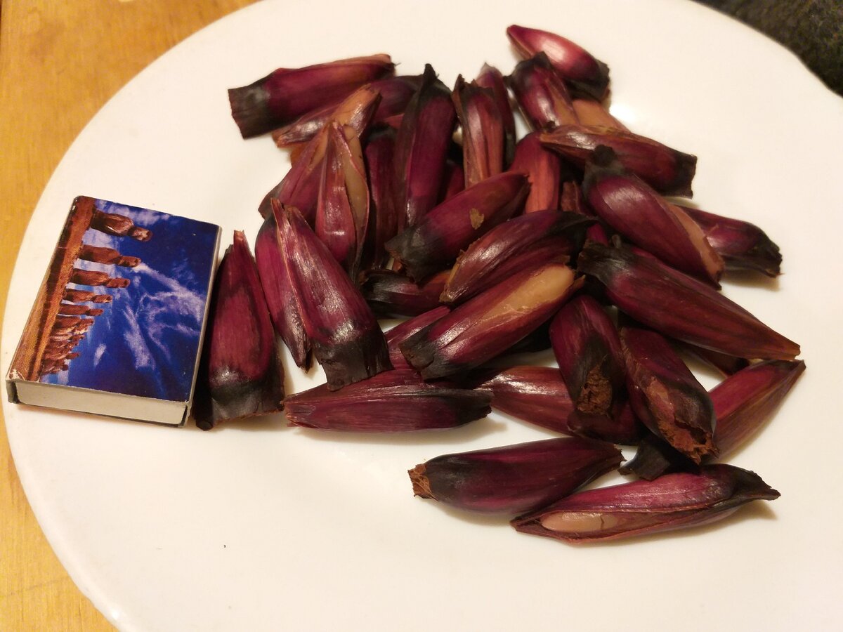 Размер пиньонов