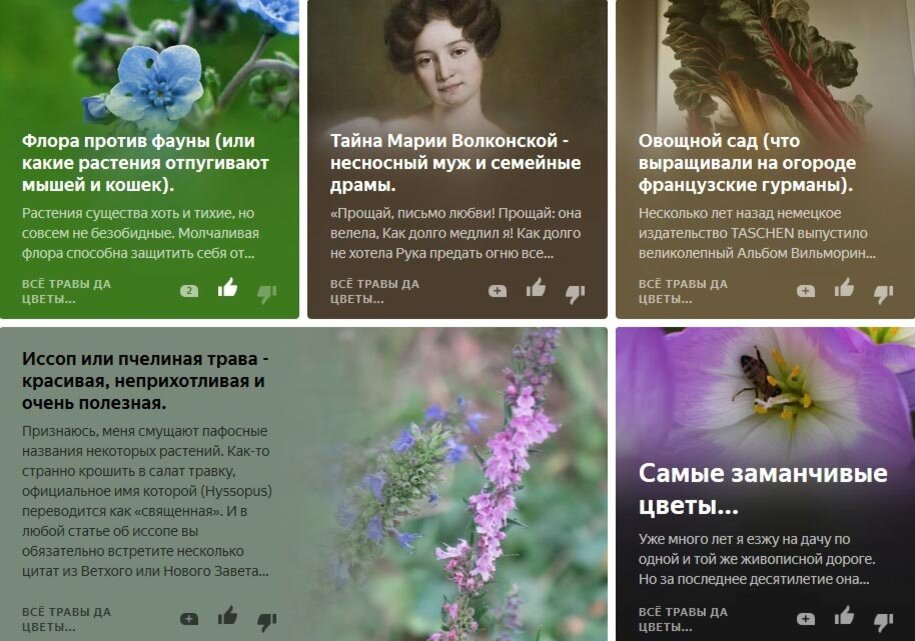 Канал "Всё травы да цветы..."