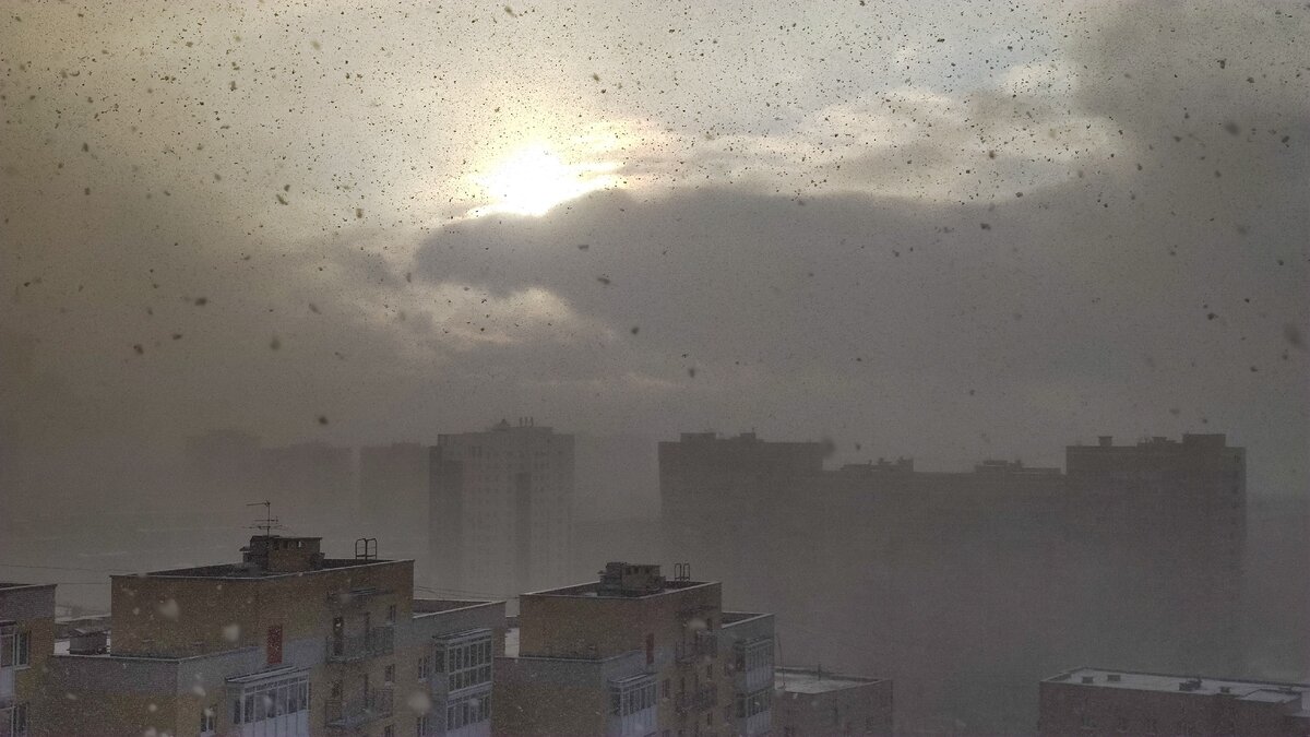 Фото Лианы Романовой