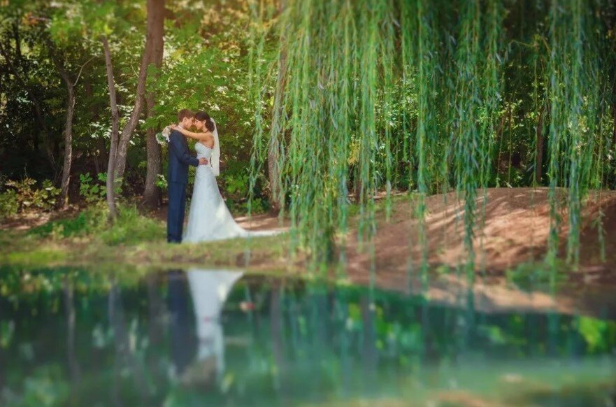 Профессиональна фотография