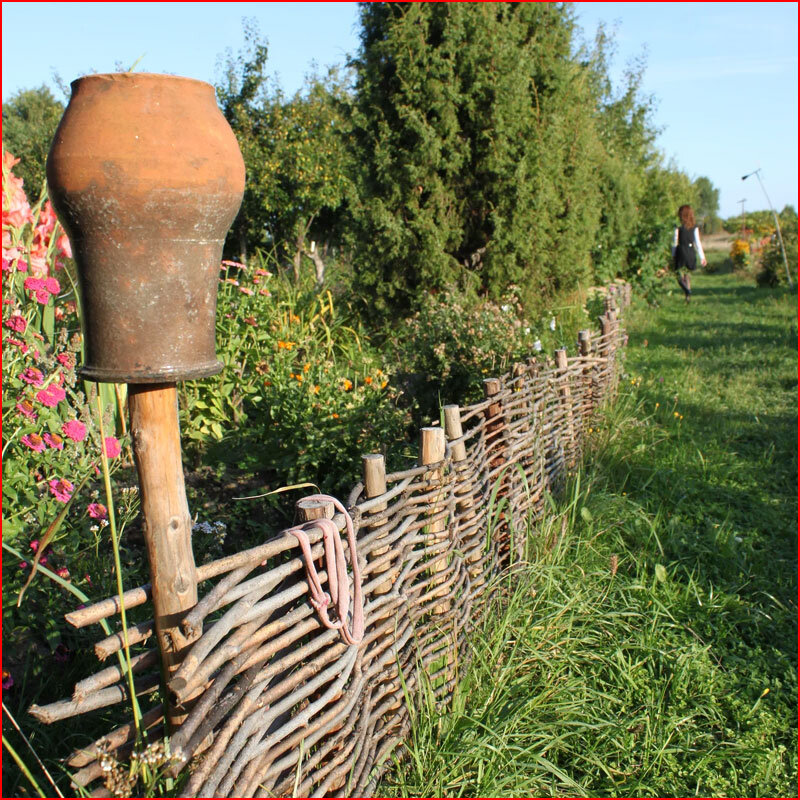 Картинки Яндекс. Фото.