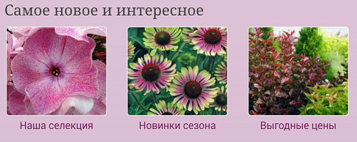 Скриншот интернет-магазина Ситцевый.рф