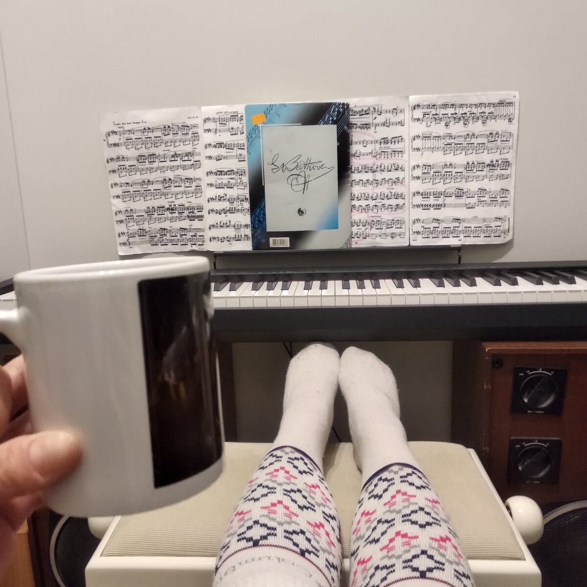 Зимние "откисания" автора