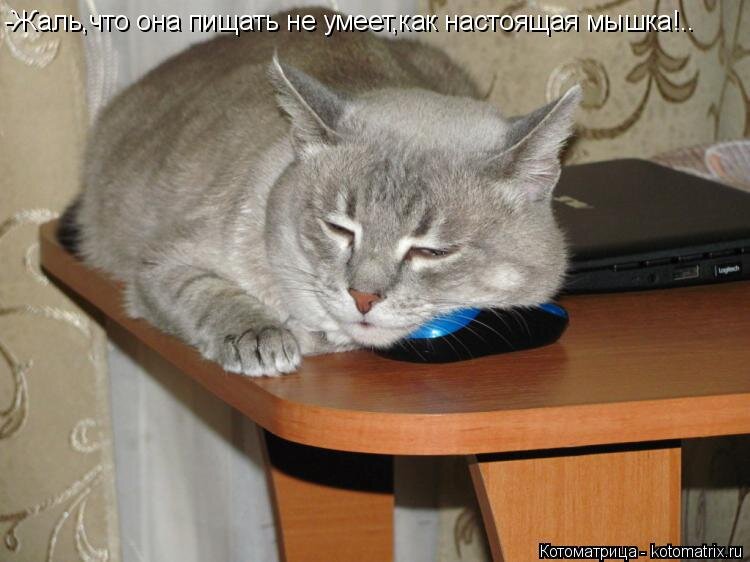 Фото из свободного доступа