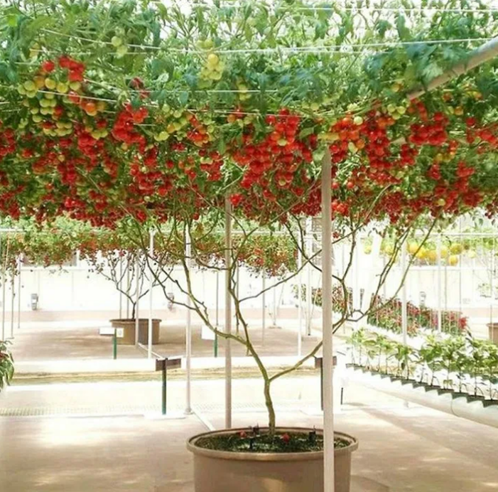 Как вам такая картинка из открытого источника в интернете?